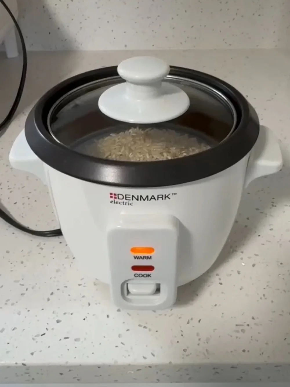 Denmark cup rice